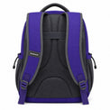 Royal Purple & Slate School Backpack - 03-back